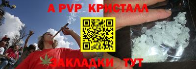 прущие грибы Апшеронск