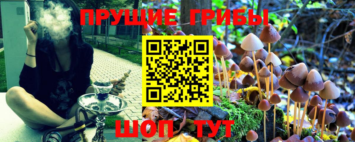 Большой Камень  Псилоцибиновые грибы GOLDEN TEACHER  Вход с VPN 