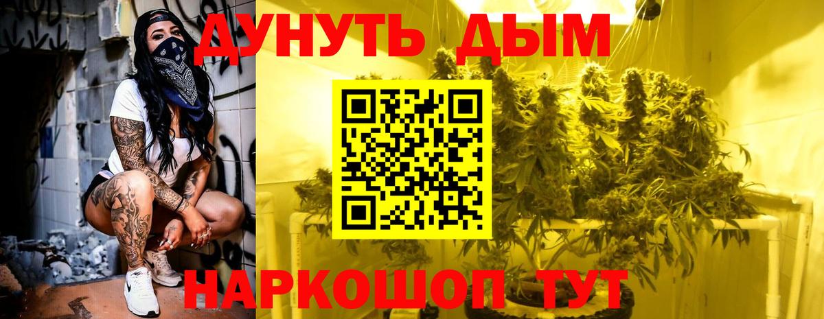 Бошки марихуана марихуана  Каннабис Amnesia  Вход с VPN  Большой Камень 